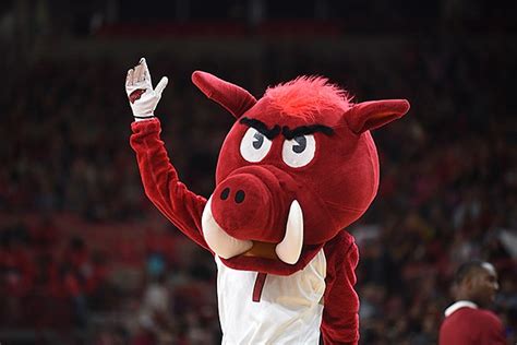 Arkansas vs. North Texas: How to watch and listen, team comparisons, betting line | Whole Hog Sports