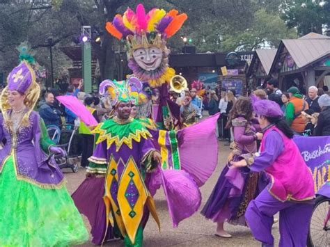 Mardi Gras 2024 fun kicks off at Busch Gardens Tampa Bay