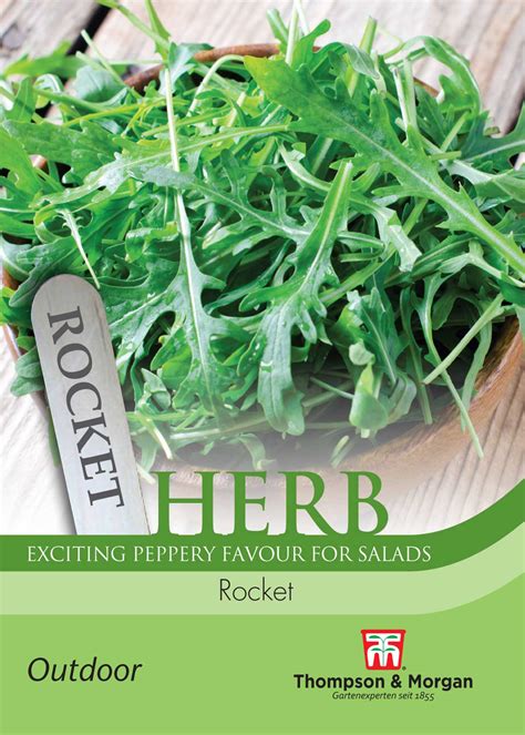 Herb Rocket Seeds | Dobbies Garden Centres