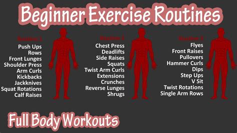 Beginner Full Body Exercise Routines Workouts - Basic Exercises Workout For Beginners At Home ...