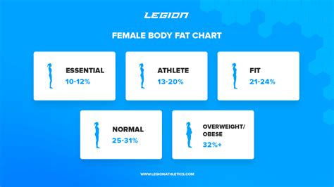 How to Calculate Your Body Fat Percentage Easily & Accurately