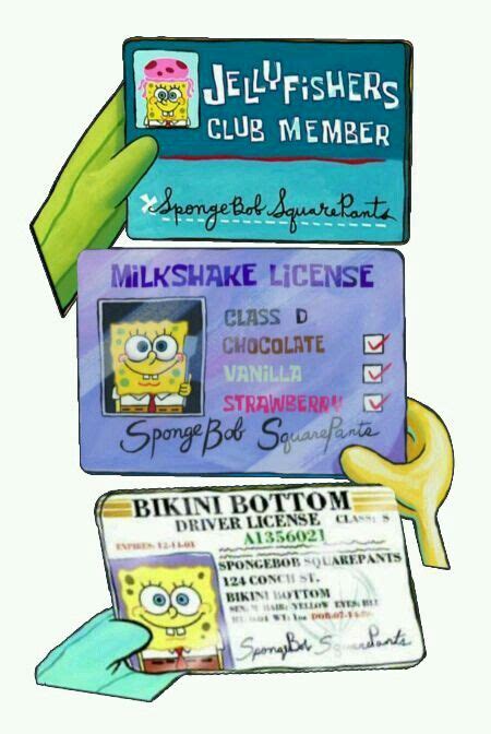 SpongeBob's different license | Spongebob, Spongebob wallpaper ...