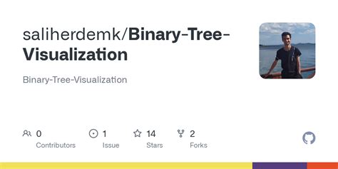 GitHub - saliherdemk/Binary-Tree-Visualization: Binary-Tree-Visualization