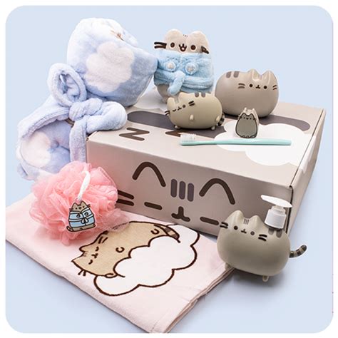 Past Boxes | Pusheen Box