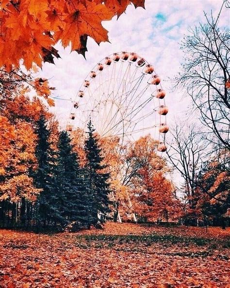 Tumblr | Imágenes de otoño, Fondos de pantalla otoño, Fondos otoño