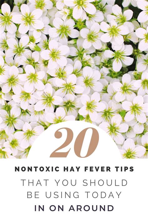 Hay Fever: 20 Holistic Methods To Combat Seasonal Allergies - In On Around | Seasonal allergies ...