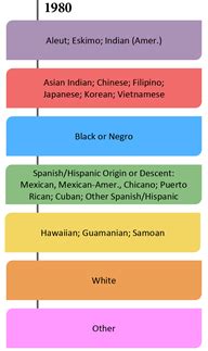 Census 2020 Race Categories - how census 2020