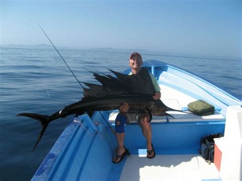 10 best Fishing Loreto, Baja Mexico images on Pinterest | Loreto, Fishing and Mexico