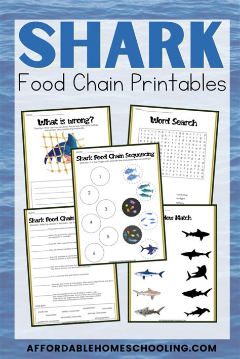 Shark Food Chain Printables for Elementary Students