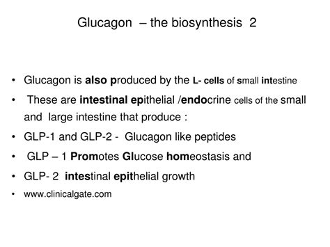 PPT - Glucagon – A hormone from pancreas Lecture NO: 2 nd MBBS PowerPoint Presentation - ID:9678179