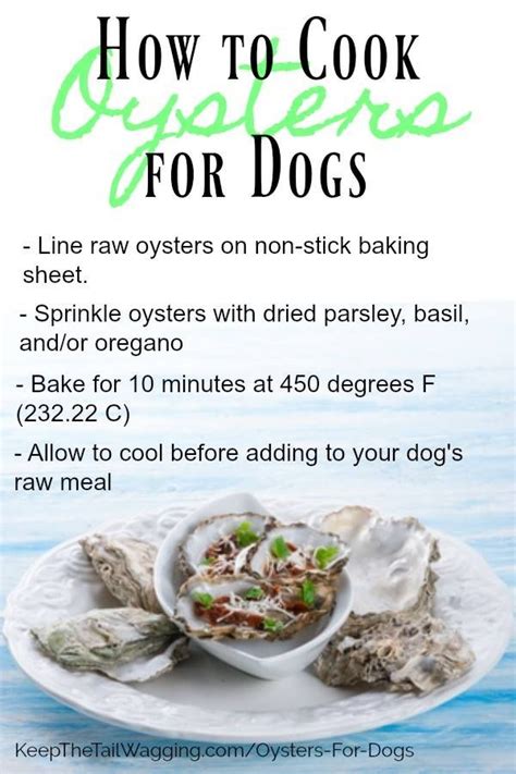 How to Cook Oysters for Dogs | Keep the Tail Wagging | Raw Feeder Life ...