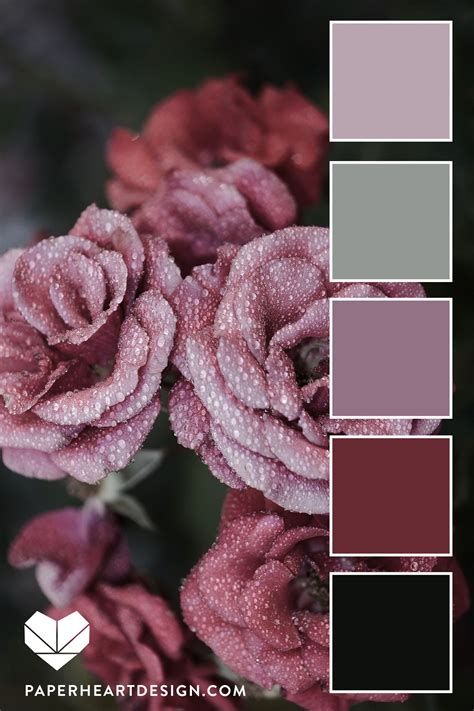 √ Dusty Pink Color Palette