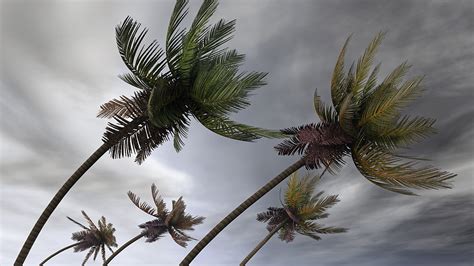 Hurricane Irene Seen Skirting Florida, Possibly Landing in Carolinas