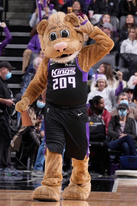 Meet Our Mascot - Stockton Kings