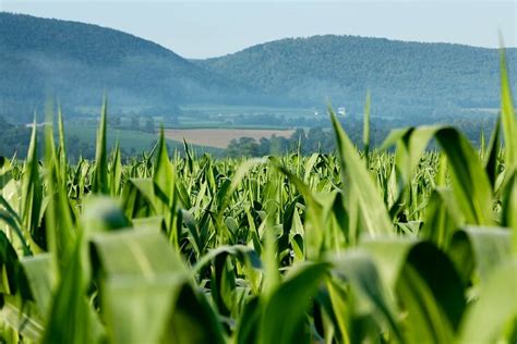 Recent News: #Pennsylvania Department of Agriculture | Chesapeake Bay ...