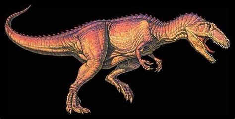 Giganotosaurus: Facts about the Giant Southern Lizard | Live Science