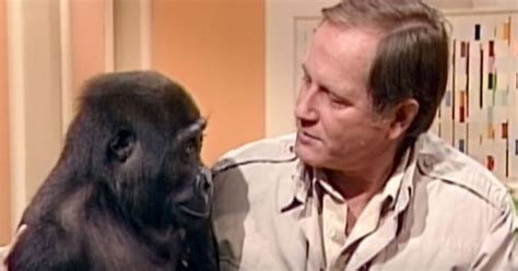 Wildlife expert and 'Mutual of Omaha's Wild Kingdom' host Jim Fowler dies