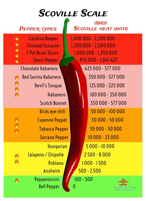 50 Dried Gourmet CAROLINA REAPER Pepper PODS Worlds Hottest Chili - Etsy