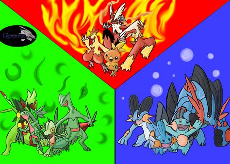 Hoenn Starters by LigerPrime on DeviantArt