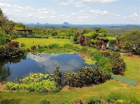 Maleny Botanic Gardens & Bird World: UPDATED 2019 All You Need to Know Before You Go (with PHOTOS)