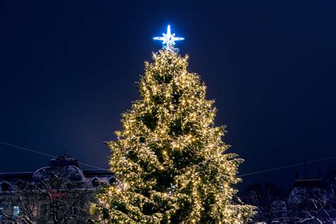 Choose your favorite Christmas Tree in Ukraine - Euromaidan Press