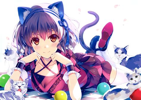 [200+] Anime Cat Wallpapers | Wallpapers.com