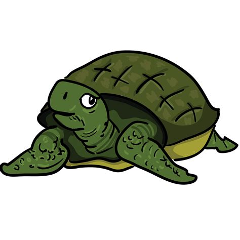 Cute Turtle Png - Tortoise Clipart Png, Transparent Png - vhv - Clip Art Library