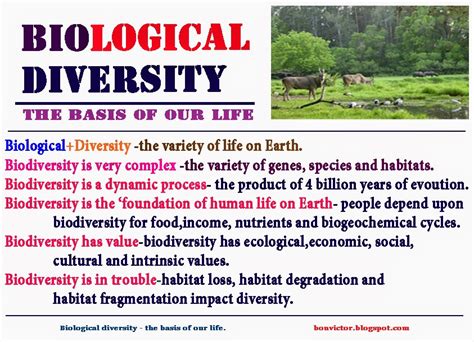 bonvictor.blogspot.com: Biological Diversity – The Basis of our Life