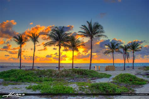 Sunrise Riviera Beach Florida Coconut Trees – HDR Photography by Captain Kimo