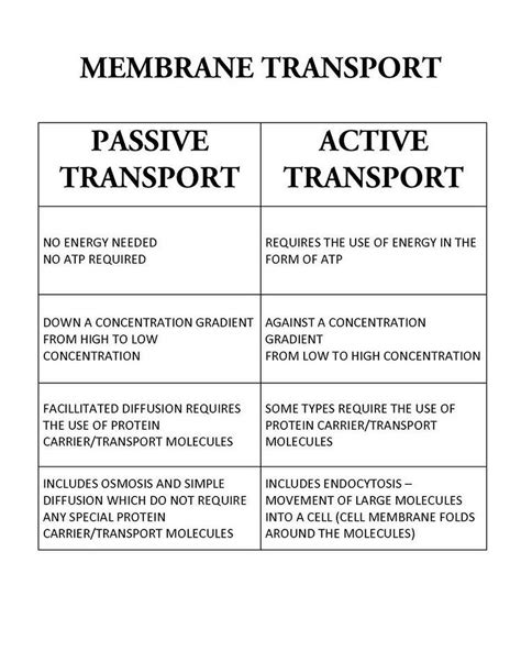 Difference Between Active and Passive Transport - NaimaknoeSoto