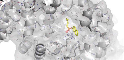 Enzymes vs. Nerve Agents: Designing Antidotes for Chemical Weapons | Observer