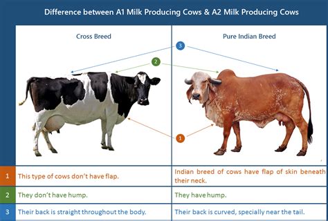 Shreshtha Farms - A2 Milk