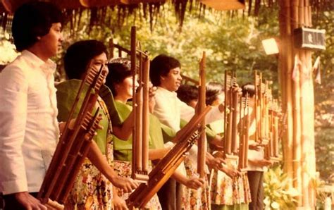 History Origin of Angklung | afronoise