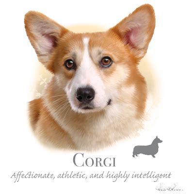 Corgi Heat Transfers | T-shirt Transfers | Iron-on Transfers