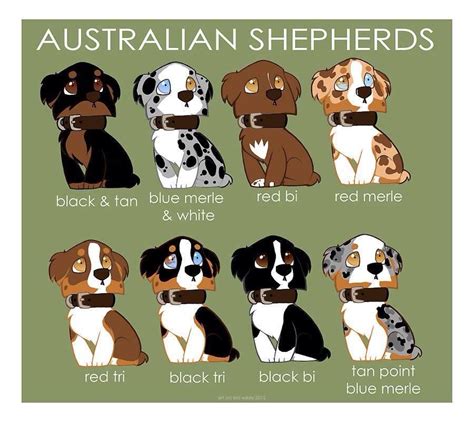 Aussie colors | Perros pastor australiano, Perros y cachorros lindos, Cepillos para perros