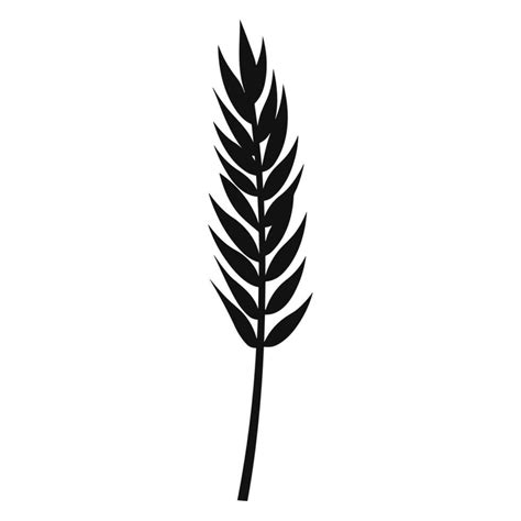 Wheat ears Vector isolated on a wHite background, A Wheat grain ...