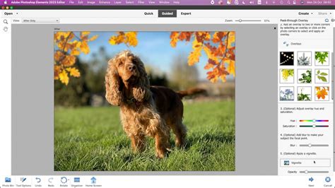 Adobe Photoshop Elements 2023 review | Digital Camera World