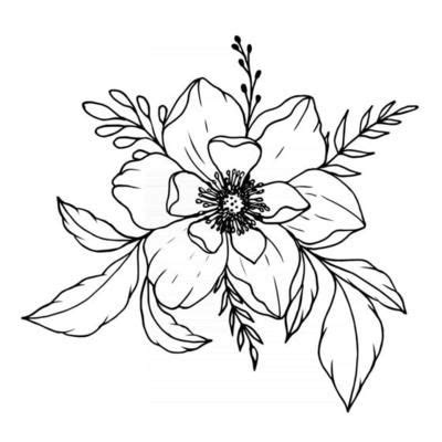 Fall Landscape Photography, Flower Line Drawings, Flower Outline, Vector Flowers, Magnolia ...