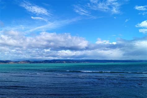 Fun Things to Do in Napier, NZ | Top Attractions & Activities