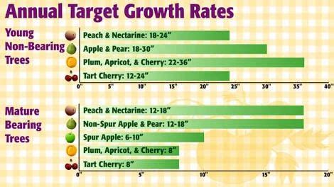 When & How to Fertilizer Your Fruit Trees in 2020 | Fruit trees ...