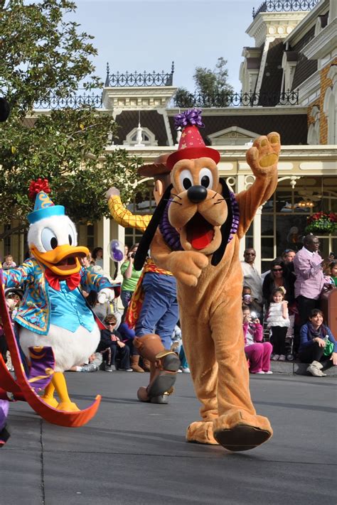 Celebrate A Dream Come True Parade Dream Come True, Disney Love ...