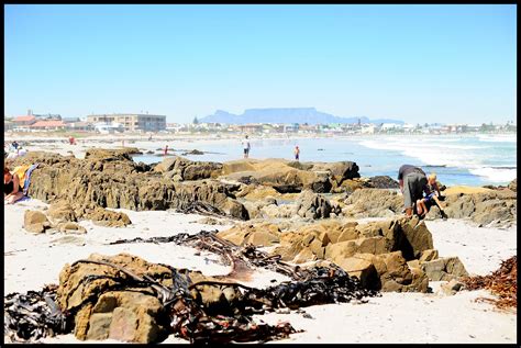 Marcy's Photography: Melkbosstrand Beach ~ Cape Town