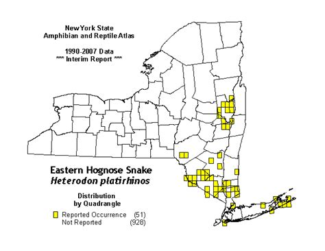 Eastern Hognose Snake - Facts, Habitat, Venom and Pictures