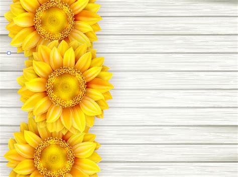 Beautiful sunflowers with wooden background vector 01 free download