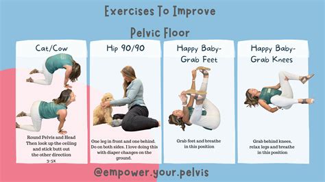 Top 4 Daily Pelvic Floor Exercises to Relieve Pain and Improve Strength ...