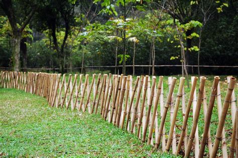 Mr Diy Bamboo Fence : DIY Bamboo Design Ideas | Bamboo design, Zen ...