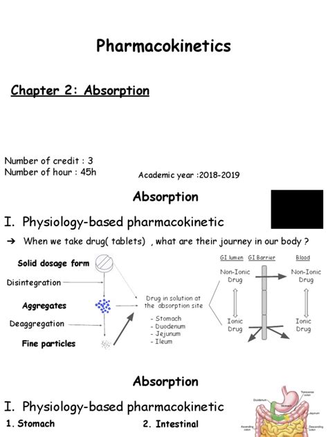 Pharmacokinetics: Chapter 2: Absorption | PDF | Gastrointestinal Tract ...