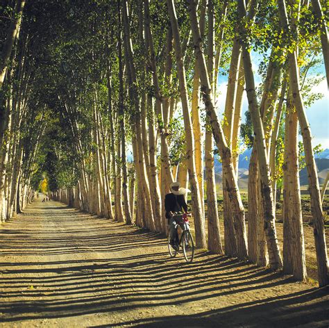 AAF-11-A08S—Bicyclist, Bamian Valley, Afghanistan | Ric Ergenbright Photography