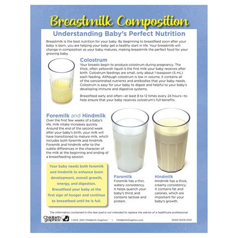 Breastmilk Composition Display | Childbirth Graphics