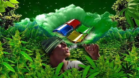 Windows Logo In Weed Wallpapers HD / Desktop and Mobile Backgrounds